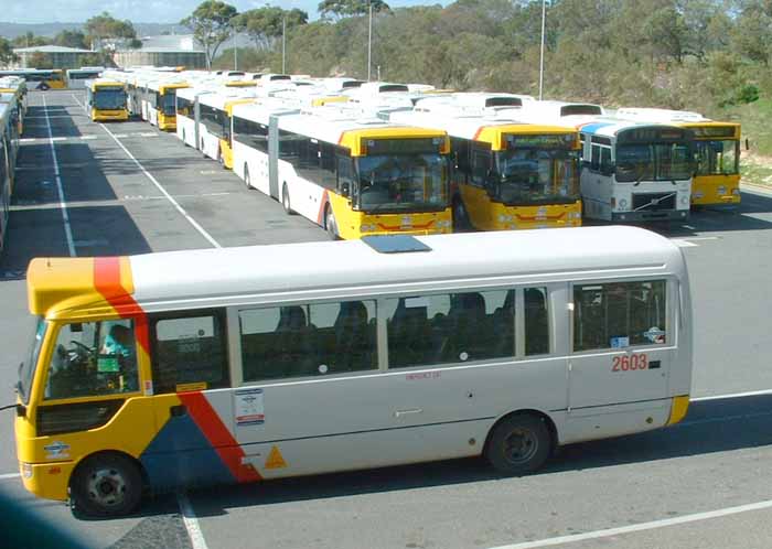 Adelaide Metro Fuso Rosa 2603